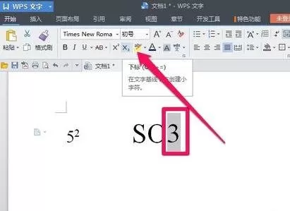 WPS文字如何输入上标或下标?输入上标或下标的方法