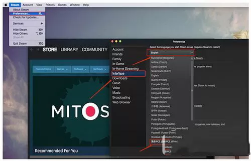mac的steam无法设置中文如何解决?