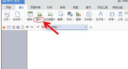 wps如何把图片和图形进行组合?图片和图形进行组合的方法