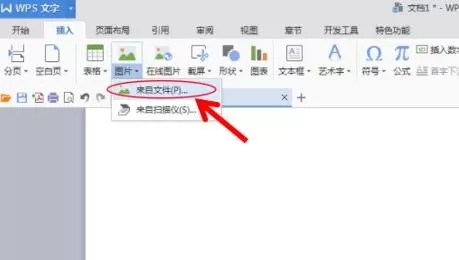 wps如何把图片和图形进行组合?图片和图形进行组合的方法
