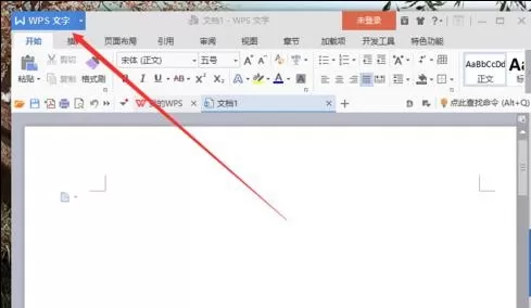 wps怎么显示空格标记?wps显示空格标记的方法