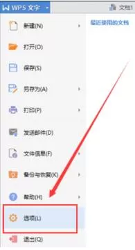 怎么在电脑上取消WPS文字的文档记录?