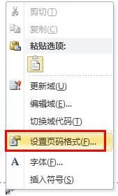 如何在word 2010中自定义页码功能?