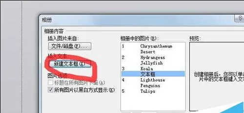 PPT2010批量导入照片的图文教程