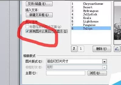 PPT2010批量导入照片的图文教程