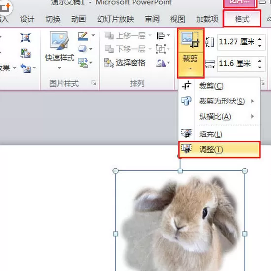 PPt2010如何自定义插入图片的样式?
