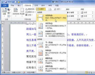 word2010插入分页符的图文教程