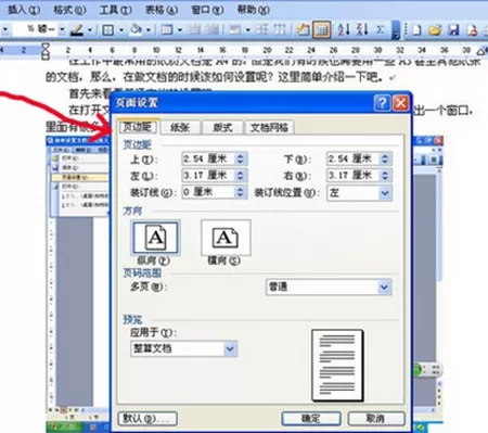 如何在WPS中进行页面设置?