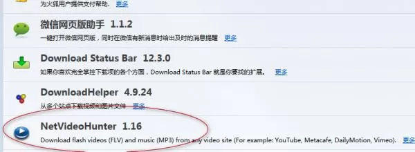 怎么在火狐浏览器中下载视频?