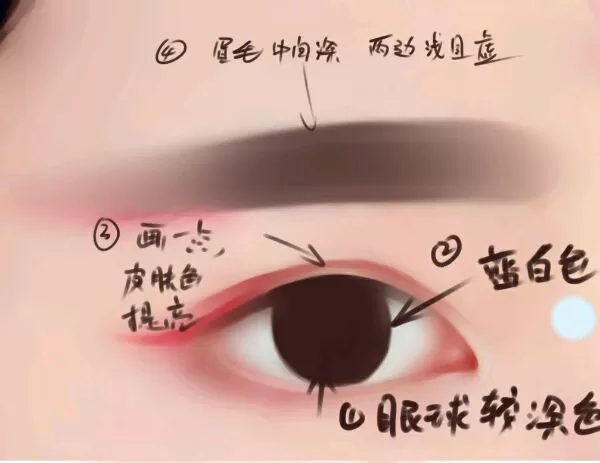 PS仿手绘绘制水灵的眼睛的具体步骤