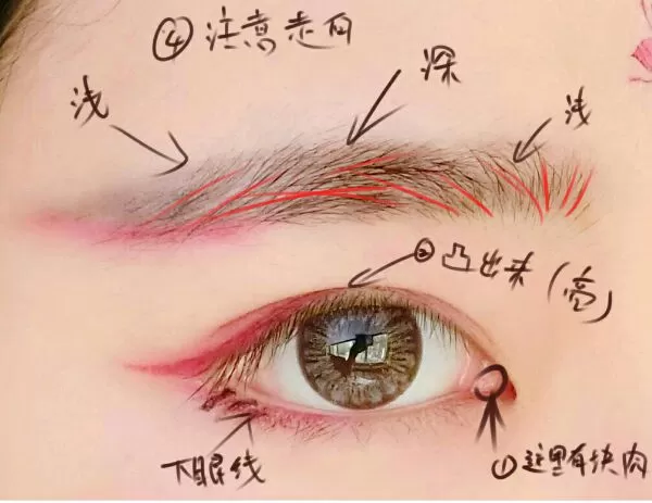 PS仿手绘绘制水灵的眼睛的具体步骤