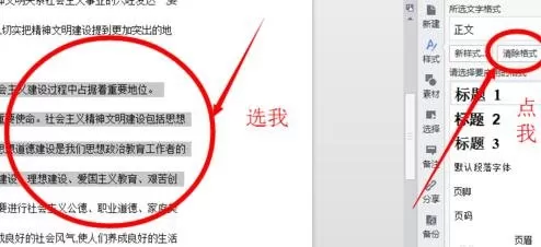 WPS文档如何清除格式?WPS文档清除格式的方法