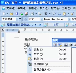 如何在WPS文字搞定偏旁部首?