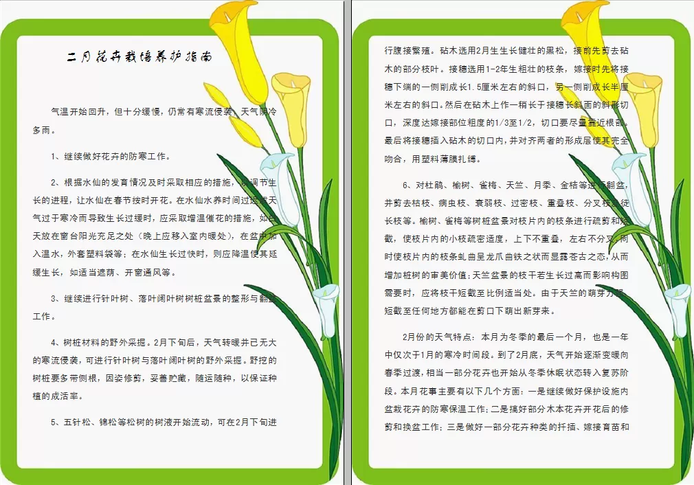 WPS文字如何制作艺术边框?制作艺术边框的方法