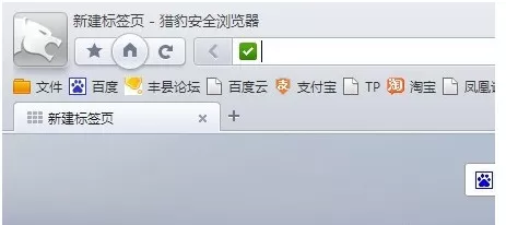 如何查看猎豹浏览器历史记录？