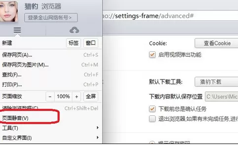 如何关闭猎豹浏览器网页声音？