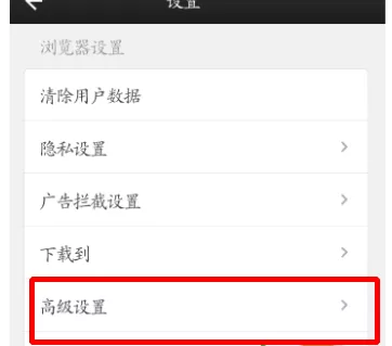 如何开启手机版猎豹浏览器无图模式?