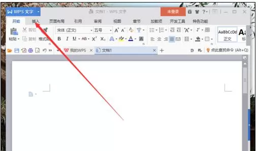 怎么在wps中关闭屏幕提示功能?