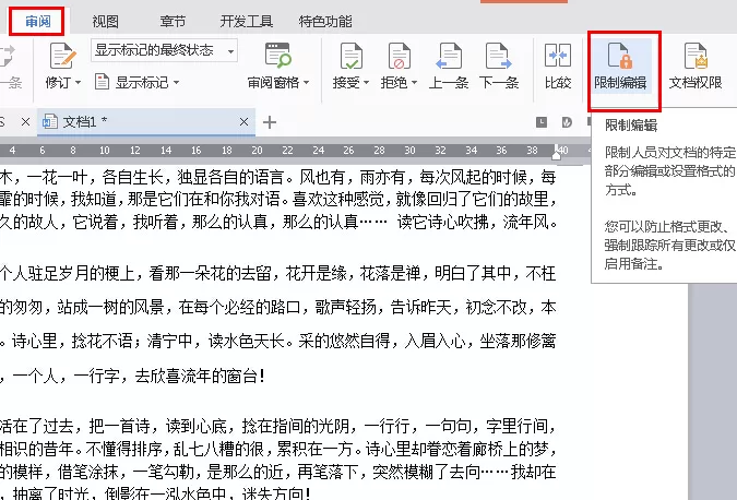 WPS2016怎么使用保护锁?使用保护锁的方法