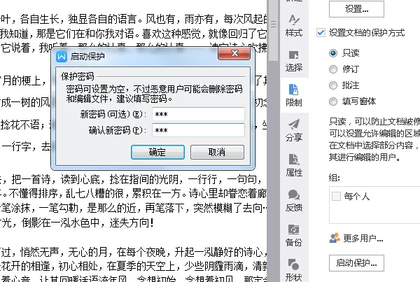 WPS2016怎么使用保护锁?使用保护锁的方法