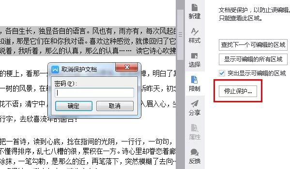 WPS2016怎么使用保护锁?使用保护锁的方法