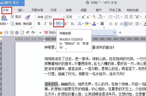 WPS2016怎么插入删除线?插入删除线的方法