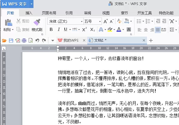 WPS2016怎么插入删除线？插入删除线的方法