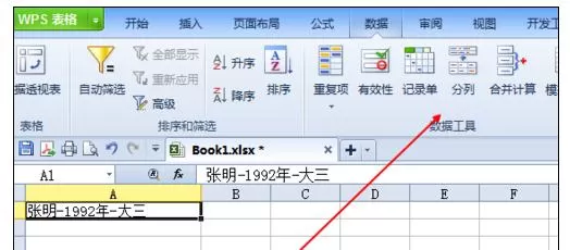 wps表格如何分隔字段?分隔字段的方法