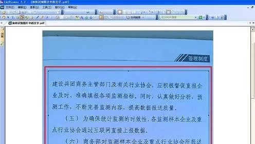WPS文字如何识别图片中文字?识别图片中文字的方法