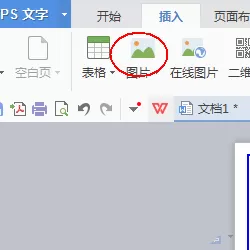 wps如何制作一款简约的简历?制作一款简约简历的方法