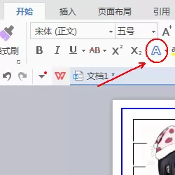 wps如何制作一款简约的简历?制作一款简约简历的方法