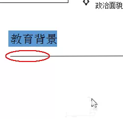 wps如何制作一款简约的简历?制作一款简约简历的方法