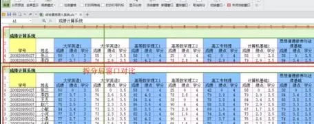 wps文字怎么拆分表格窗口?拆分表格窗口的方法