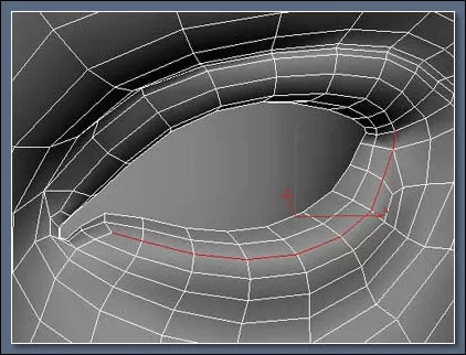 如何在3Dmax制作绝妙的眼睫毛？