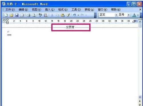 wps文字怎么删除页?wps文字删除页的方法