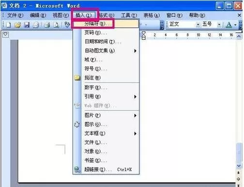 wps文字怎么删除页？wps文字删除页的方法