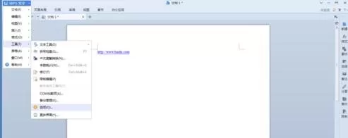 WPS如何使用文字域?WPS使用文字域的方法