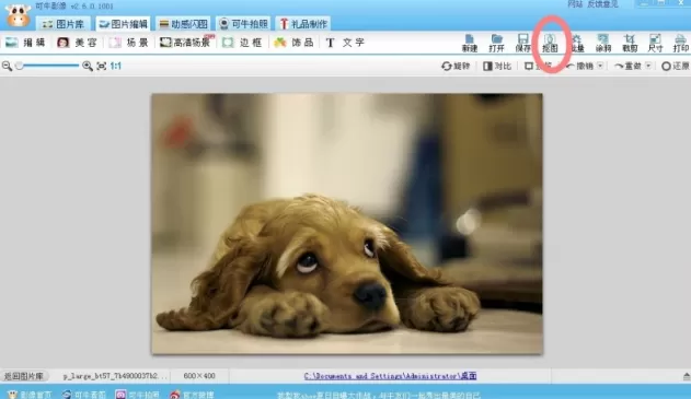 可牛影像如何打造可爱萌宠?打造可爱萌宠的方法