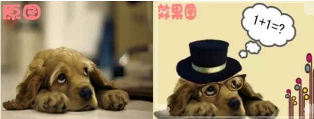 可牛影像如何打造可爱萌宠?打造可爱萌宠的方法
