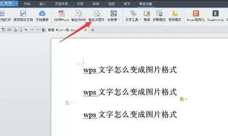 wps如何将文字变成图片格式?将文字变成图片格式的方法