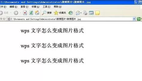 wps如何将文字变成图片格式?将文字变成图片格式的方法