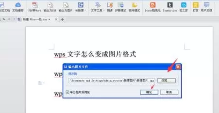 wps如何将文字变成图片格式?将文字变成图片格式的方法