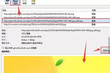 如何使用火狐浏览器网络抓图?