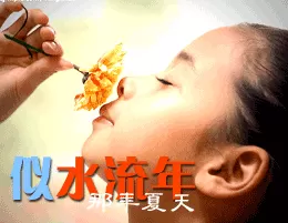 可牛影像如何打造动画闪字效果?造动画闪字效果的方法