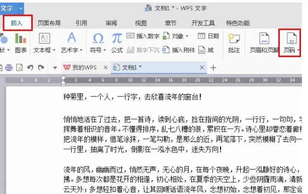 WPS文字如何设置起始页?设置起始页的具体操作步骤