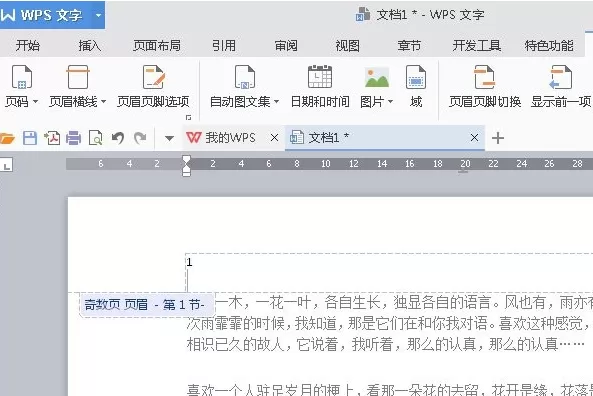 WPS文字如何设置起始页?设置起始页的具体操作步骤