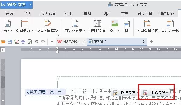 WPS文字如何设置起始页?设置起始页的具体操作步骤