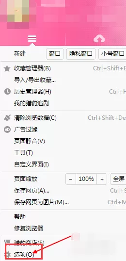在猎豹浏览器中屏蔽广告插件有哪些？