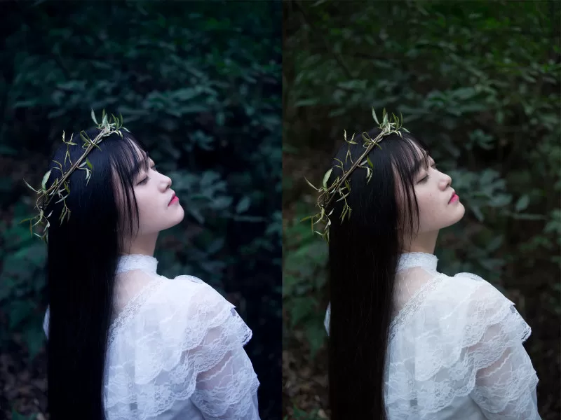 如何使用PS后期制作森女系?使用PS后期制作森女系的方法