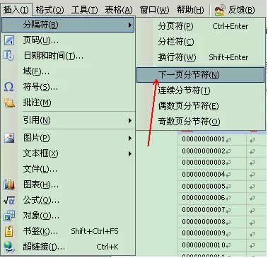 WPS文字怎么利用分节符进行特殊排版？